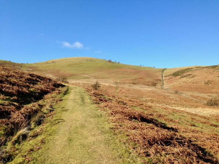 Low Fell / Fellbarrow