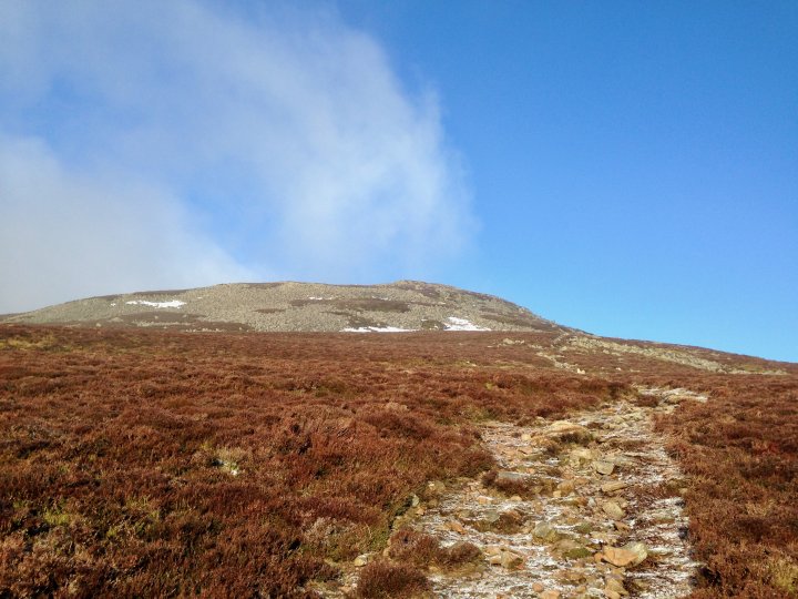 Carrock Fell / High Pike (Caldbeck) / Knott / Great Calva