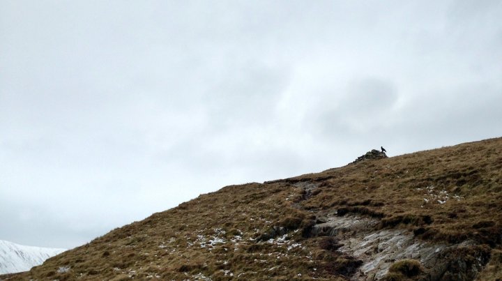 Beda Fell / Angletarn Pikes / Brock Crags / The Nab