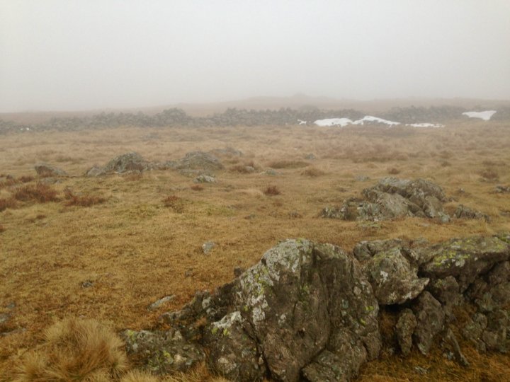 High Street / Thornthwaite Crag / Gray Crag / Stony Cove Pike / Hartsop Dodd