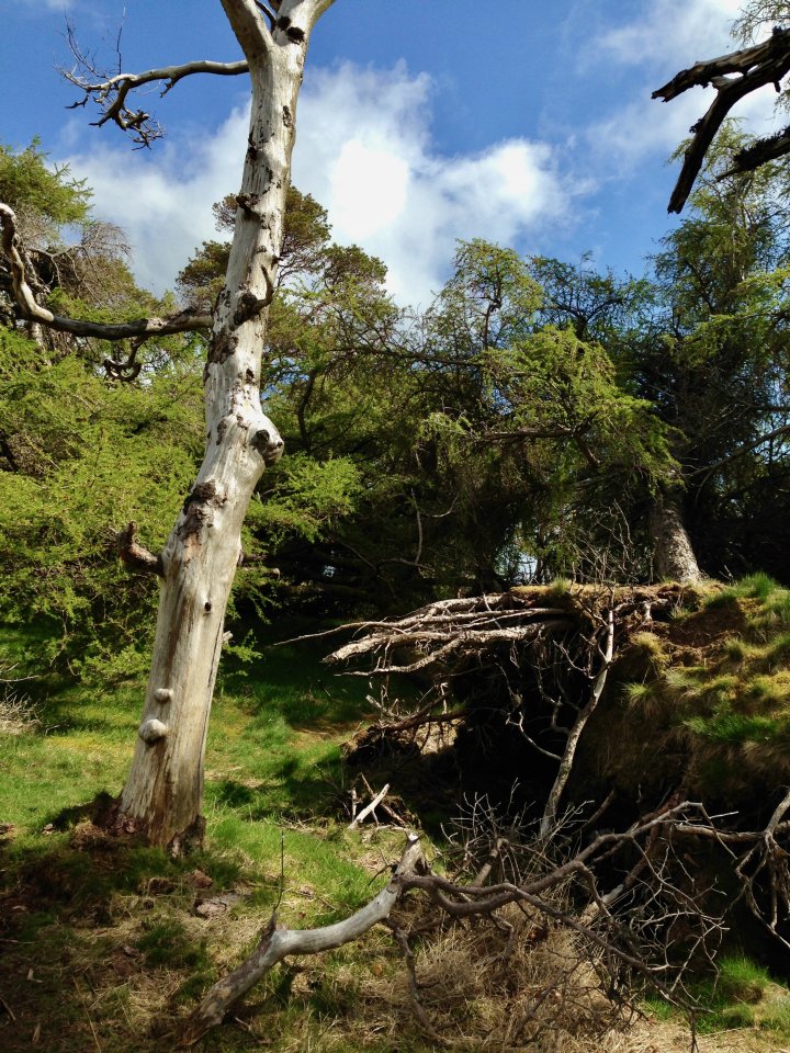 Great Mell Fell / Little Mell Fell / Gowbarrow Fell