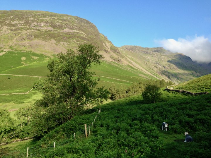 Pillar / Black Crag / Scoat Fell / Red Pike (Wasdale) / Yewbarrow North Top / Yewbarrow