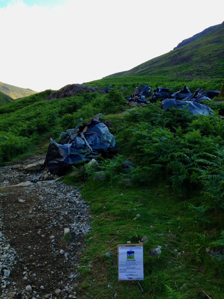 Pillar / Black Crag / Scoat Fell / Red Pike (Wasdale) / Yewbarrow North Top / Yewbarrow