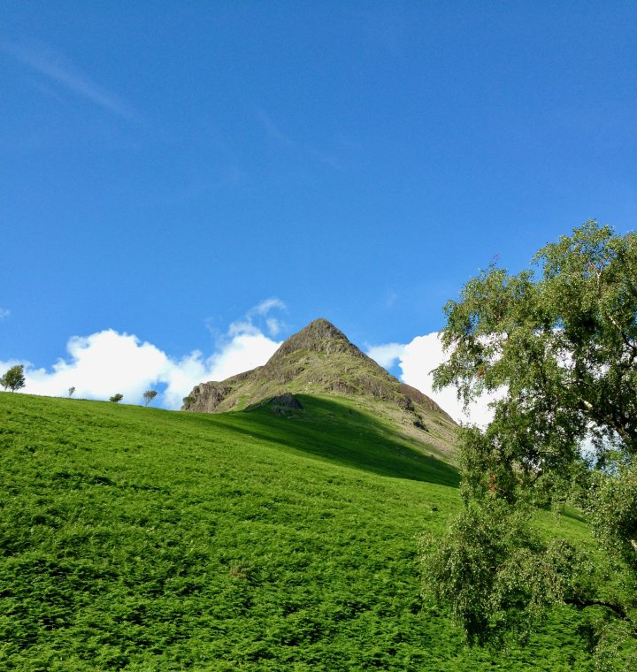 Pillar / Black Crag / Scoat Fell / Red Pike (Wasdale) / Yewbarrow North Top / Yewbarrow