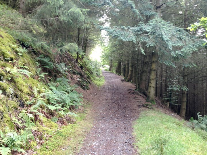 Dodd (Skiddaw)