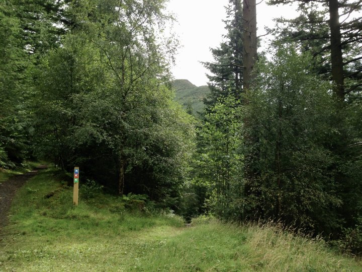 Dodd (Skiddaw)