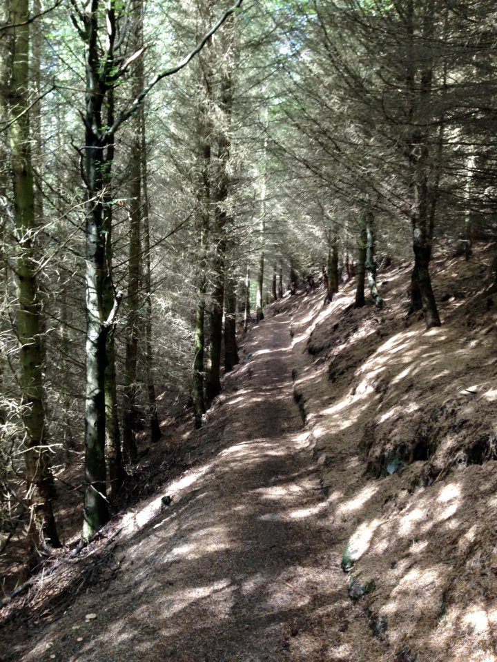 Dodd (Skiddaw)