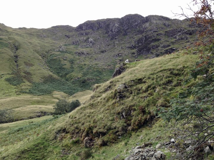 Helm Crag / Gibson Knott / Calf Crag