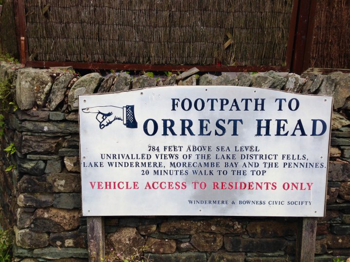 Orrest Head