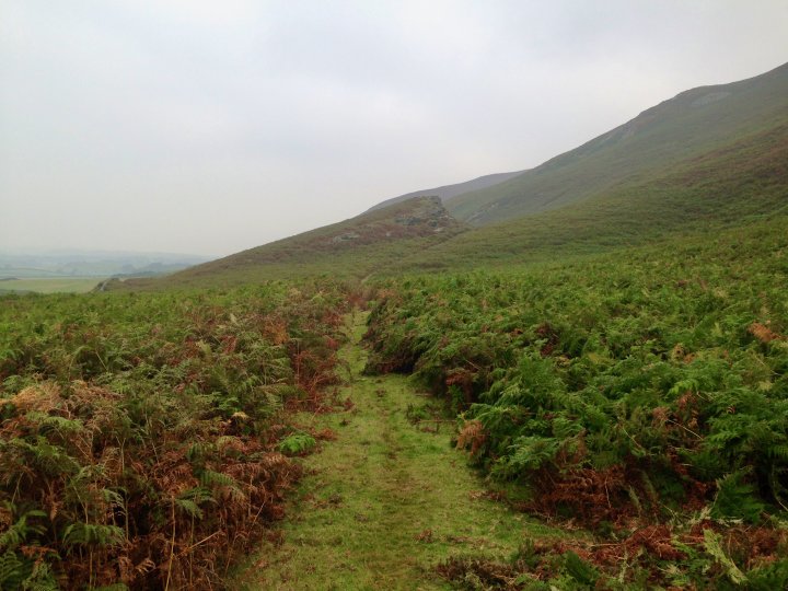 Stoupdale Head / White Combe / Black Combe