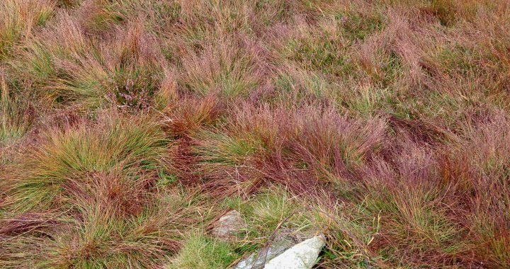 Stoupdale Head / White Combe / Black Combe