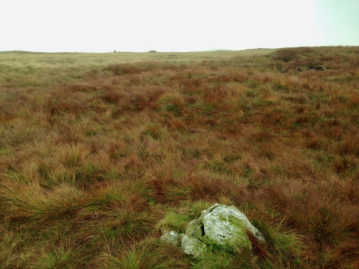 Stoupdale Head / White Combe / Black Combe