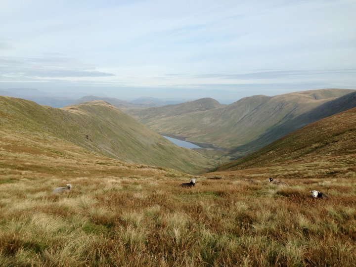 Yoke / Ill Bell / Froswick / Thornthwaite Crag / Mardale Ill Bell / Harter Fell (Mardale) / Kentmere Pike / Shipman Knotts