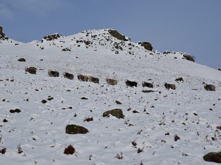 Eskdale