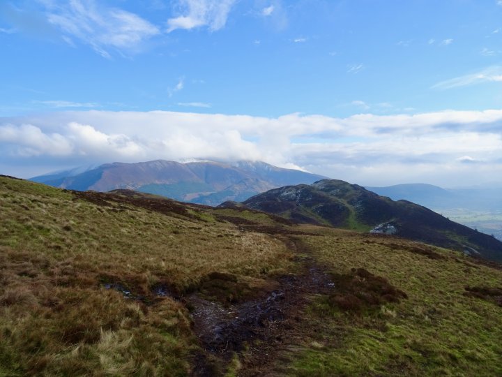 Whinlatter / Barf / Lord's Seat / Broom Fell / Graystones / Graystones (Birkett)