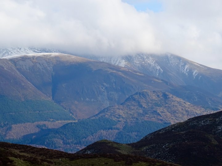 Whinlatter / Barf / Lord's Seat / Broom Fell / Graystones / Graystones (Birkett)