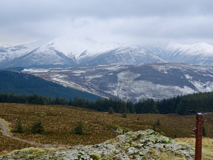 Whinlatter / Barf / Lord's Seat / Broom Fell / Graystones / Graystones (Birkett)