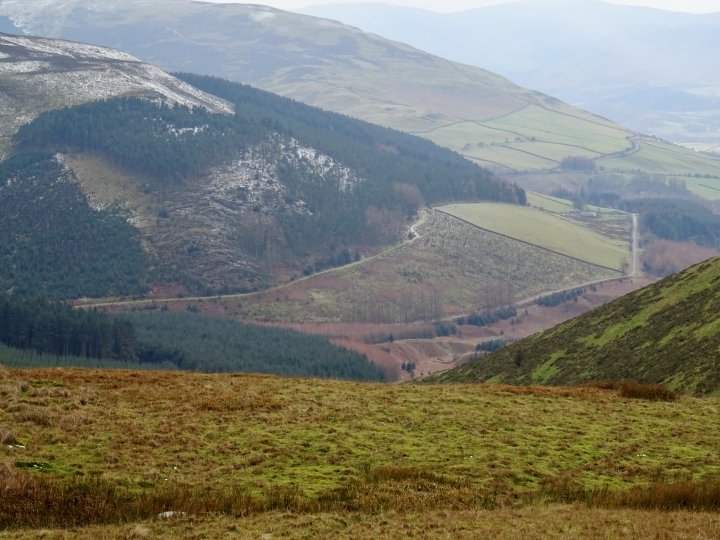 Whinlatter / Barf / Lord's Seat / Broom Fell / Graystones / Graystones (Birkett)