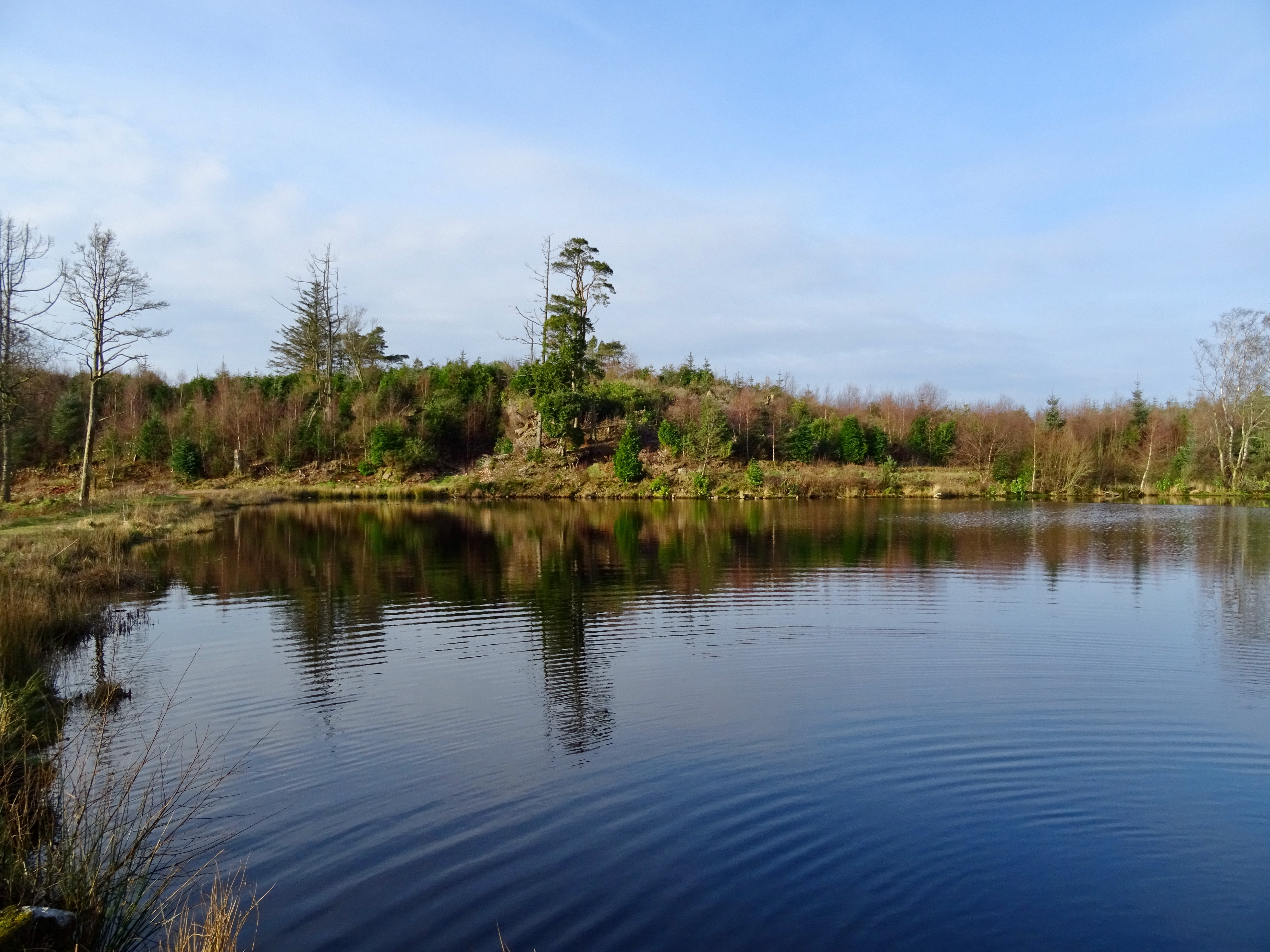 Muncaster Fell - Hooker Crag