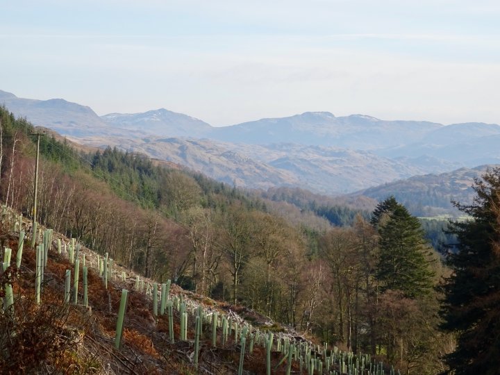 Muncaster Fell - Hooker Crag