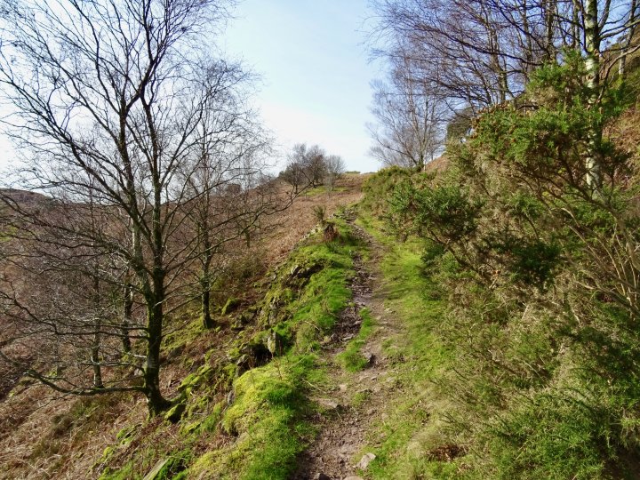 Muncaster Fell - Hooker Crag