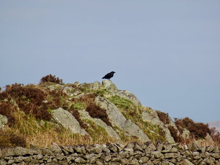 Muncaster Fell - Hooker Crag