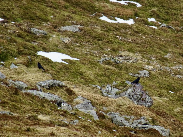 St Sunday Crag / Arnison Crag
