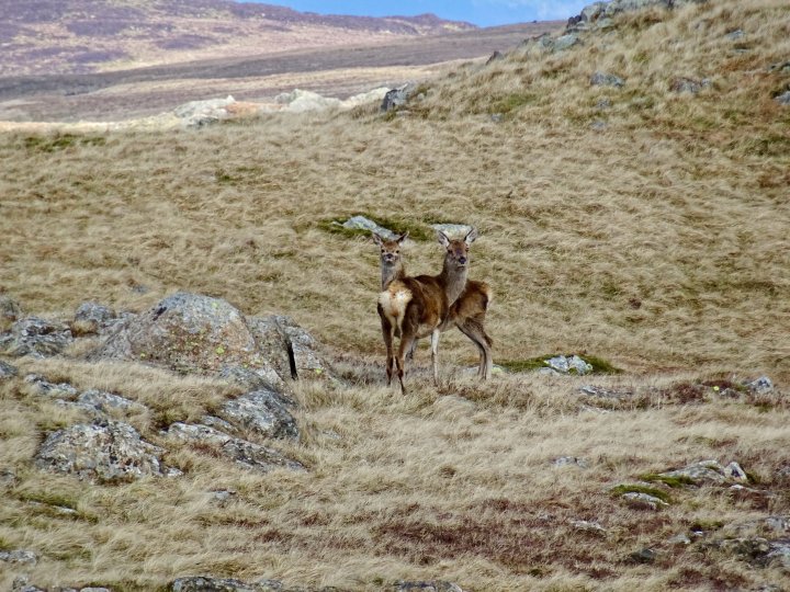 Bell Crags / Armboth Fell / Armboth Fell (Birkett) / Raven Crag