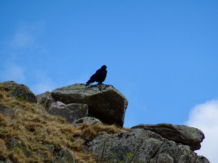 Rossett Pike / Allen Crags / Red Beck Top / Glaramara / Combe Head / Dovenest Top / Rosthwaite Fell - Bessyboot