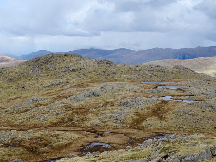Rossett Pike / Allen Crags / Red Beck Top / Glaramara / Combe Head / Dovenest Top / Rosthwaite Fell - Bessyboot