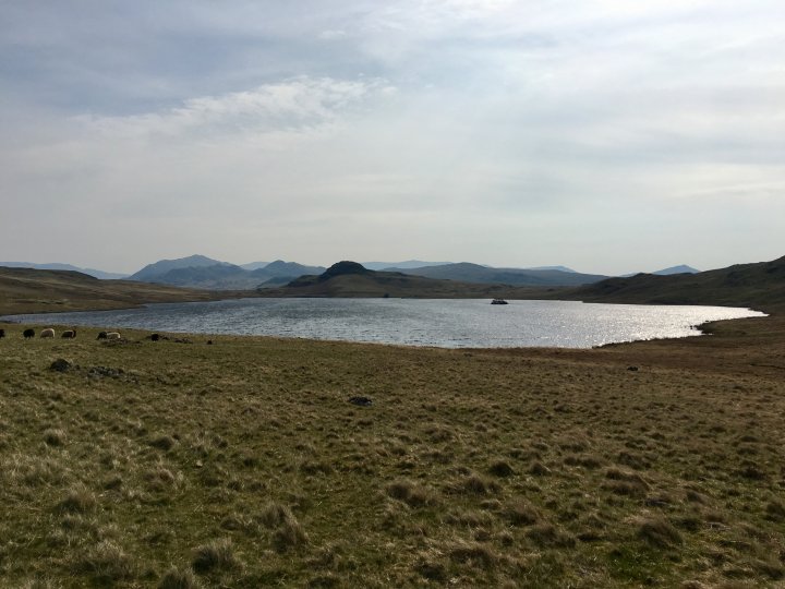 Rough Crag (Birker Moor) / Water Crag / The Knott (Stainton Fell) / White Pike (Birkby Fell) / Woodend Height / Yoadcastle / Stainton Pike / Hesk Fell / Seat How (Birker Moor)