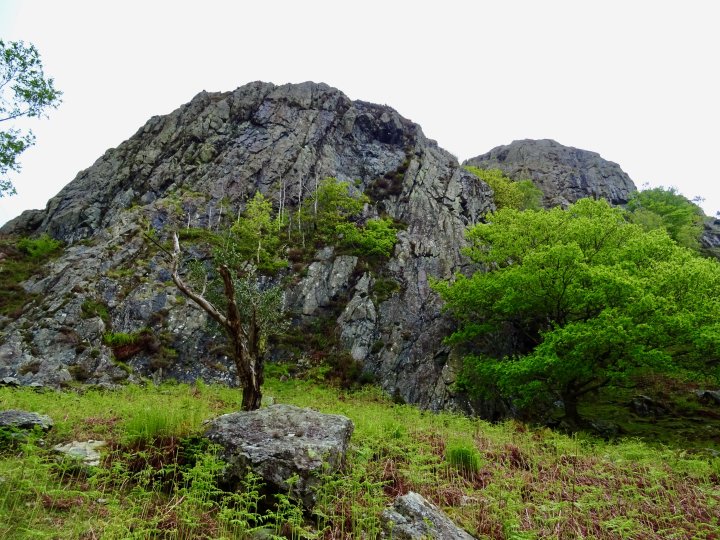 Wallowbarrow Crag / Great Worm Crag / Green Crag / Harter Fell (Eskdale)