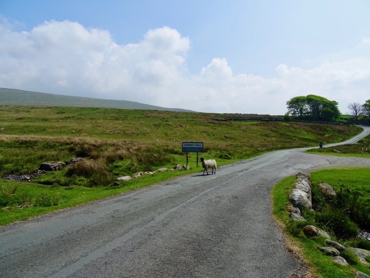 Whitfell / Burn Moor / Buck Barrow / Kinmont Buck Barrow