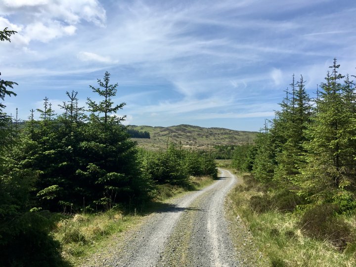 Carron Crag / Top o'Selside (Wainwright Summit) / High Light Haw / Low Light Haw / Top o'Selside - Brock Barrow