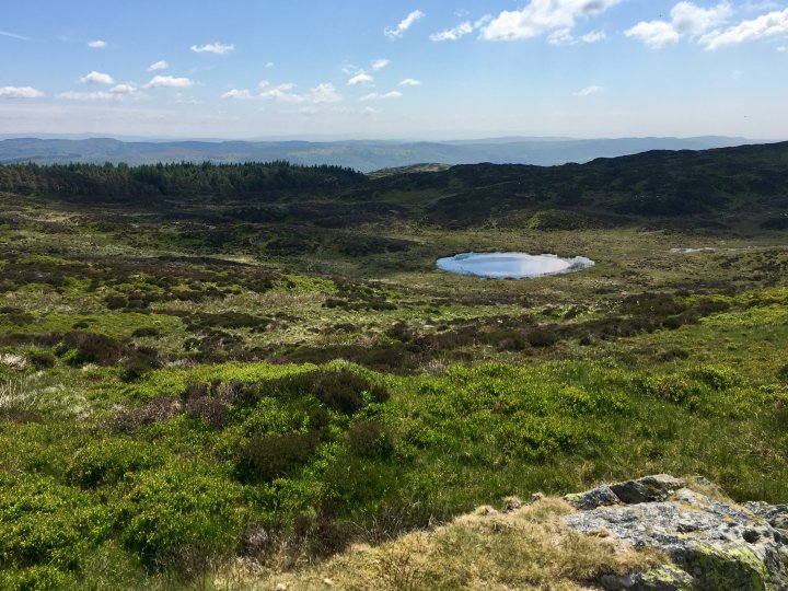 Carron Crag / Top o'Selside (Wainwright Summit) / High Light Haw / Low Light Haw / Top o'Selside - Brock Barrow