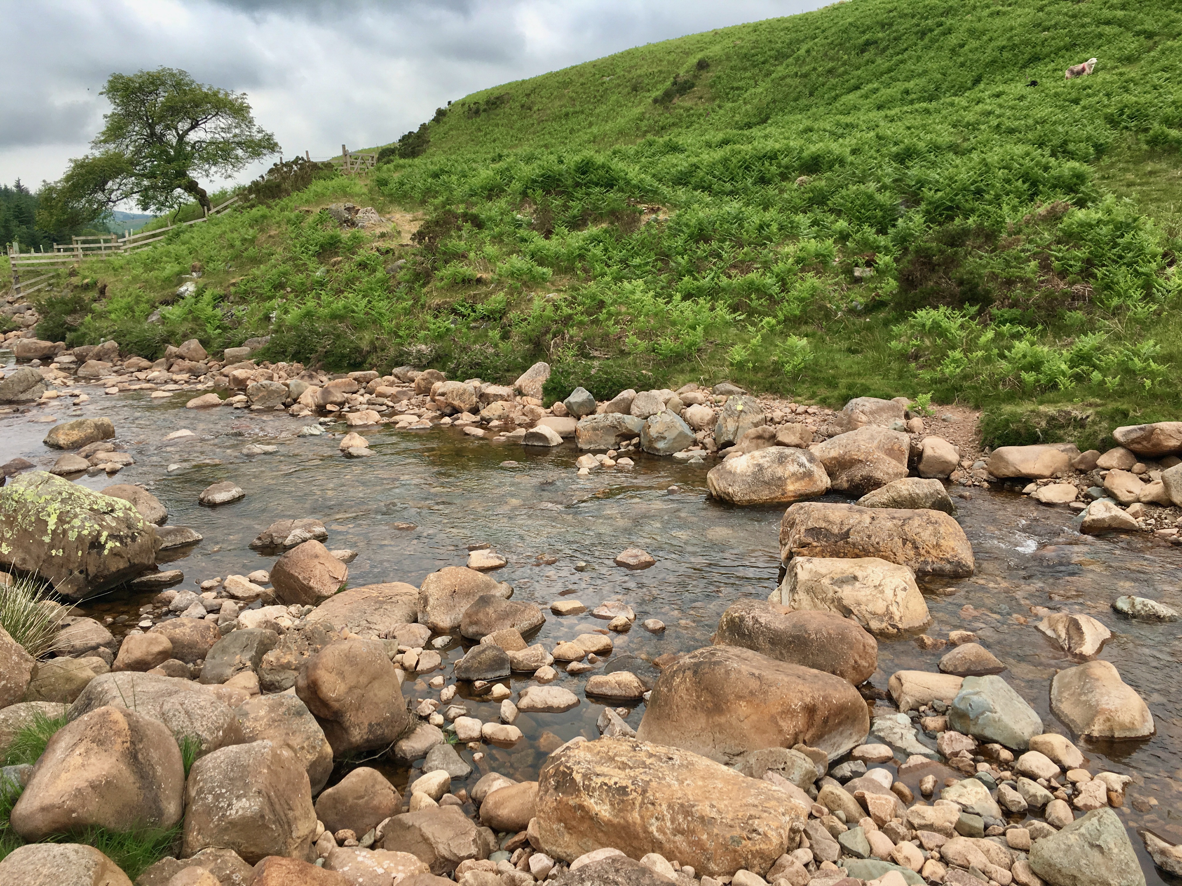 Cold Fell (Lake District) / Ponsonby Fell
