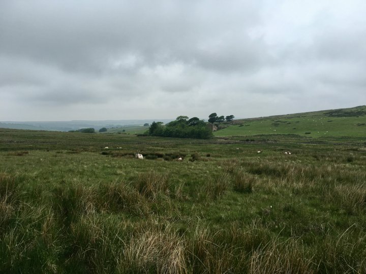 Cold Fell (Lake District) / Ponsonby Fell