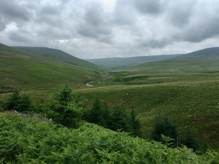 Cold Fell (Lake District) / Ponsonby Fell
