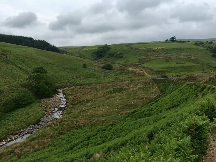 Cold Fell (Lake District) / Ponsonby Fell