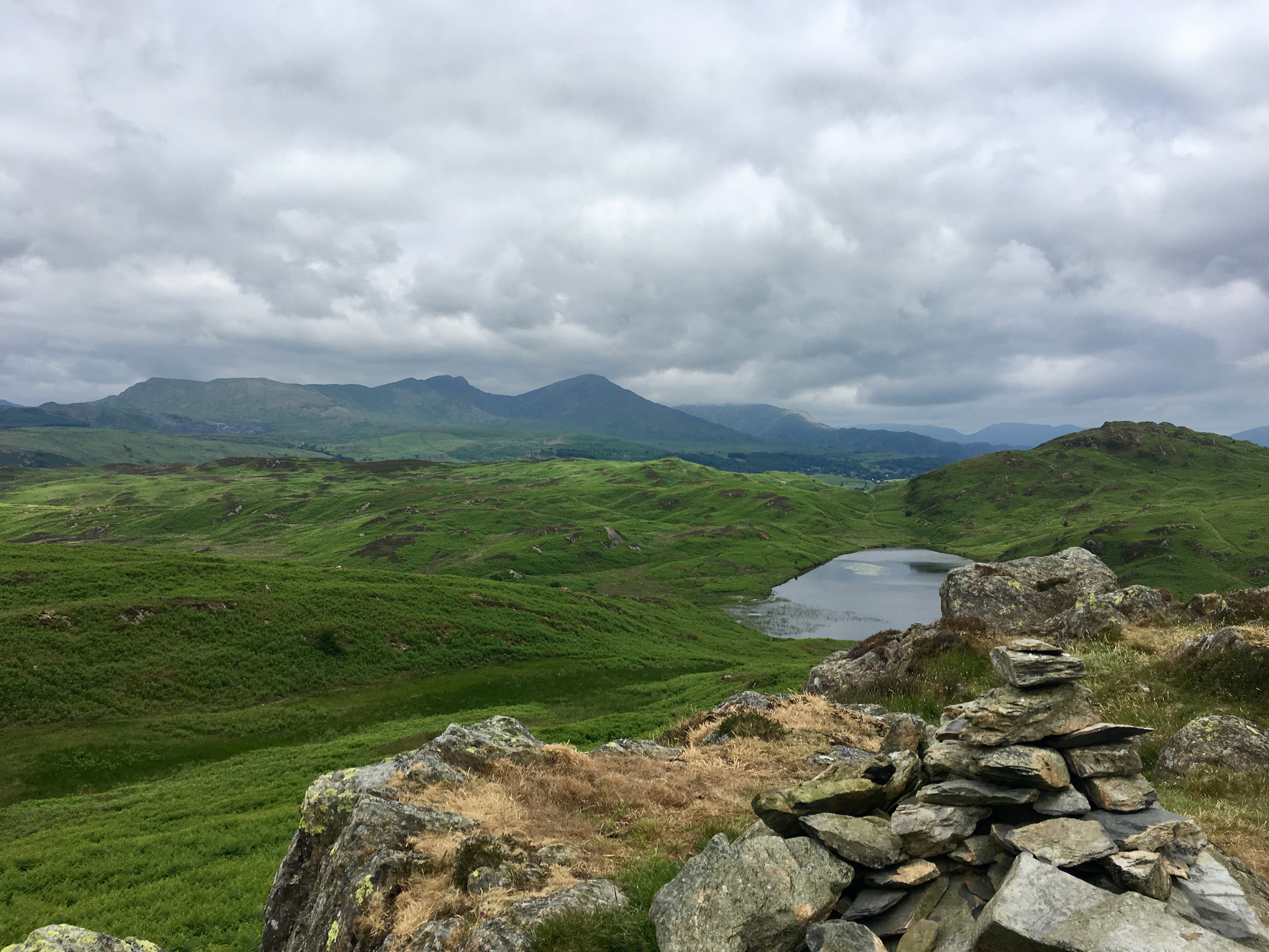 Tottlebank Height / Beacon Fell / Wool Knott / Yew Bank / Blawith Knott / Burney