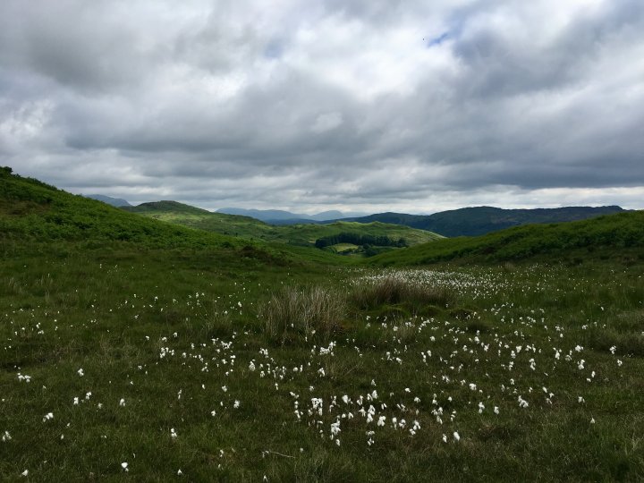 Tottlebank Height / Beacon Fell / Wool Knott / Yew Bank / Blawith Knott / Burney