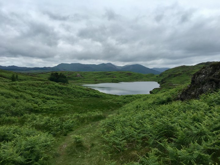 Tottlebank Height / Beacon Fell / Wool Knott / Yew Bank / Blawith Knott / Burney
