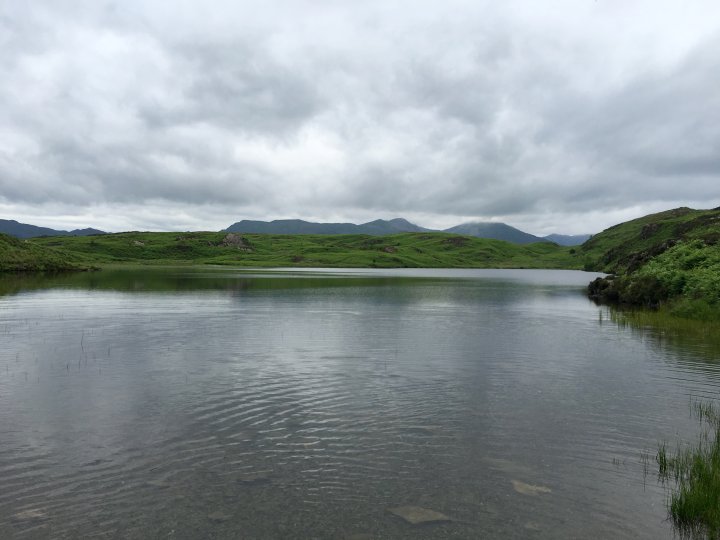 Tottlebank Height / Beacon Fell / Wool Knott / Yew Bank / Blawith Knott / Burney