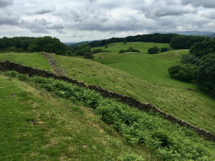 Tottlebank Height / Beacon Fell / Wool Knott / Yew Bank / Blawith Knott / Burney