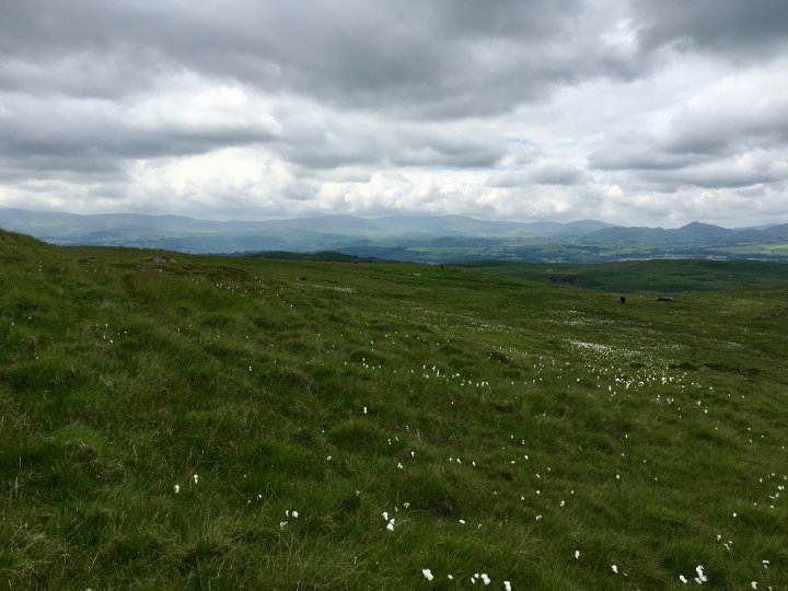 Tottlebank Height / Beacon Fell / Wool Knott / Yew Bank / Blawith Knott / Burney