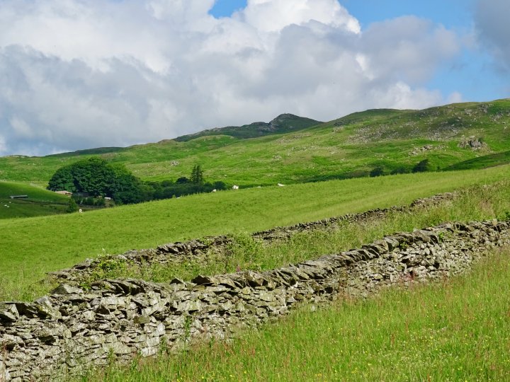 Lamb Pasture / The Forest / White Howe (Bannisdale) / Bannisdale Fell - Long Crag / Bannisdale Horseshoe - Ancrow Brow N / Swinklebank Crag / Capplebarrow / Todd Fell / Whiteside Pike