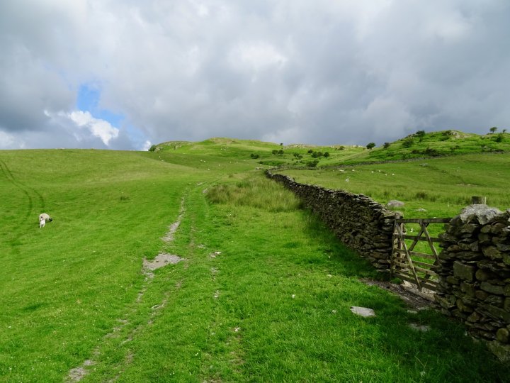Lamb Pasture / The Forest / White Howe (Bannisdale) / Bannisdale Fell - Long Crag / Bannisdale Horseshoe - Ancrow Brow N / Swinklebank Crag / Capplebarrow / Todd Fell / Whiteside Pike