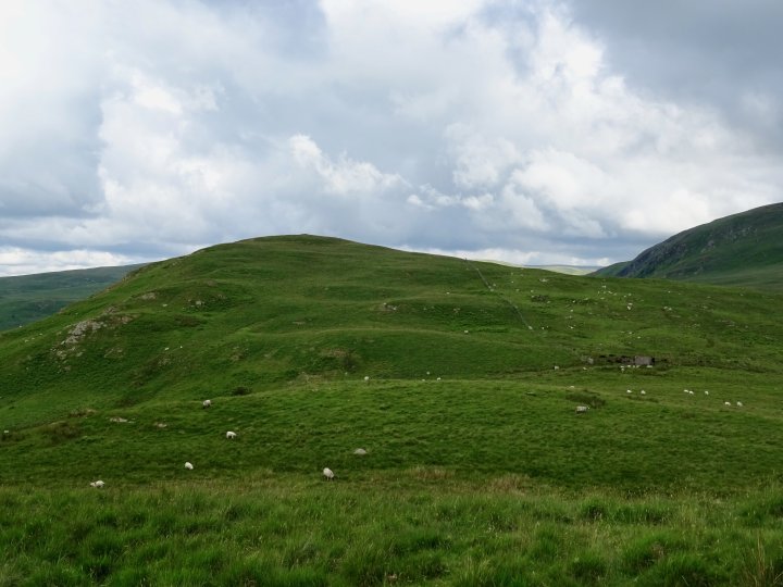 Lamb Pasture / The Forest / White Howe (Bannisdale) / Bannisdale Fell - Long Crag / Bannisdale Horseshoe - Ancrow Brow N / Swinklebank Crag / Capplebarrow / Todd Fell / Whiteside Pike
