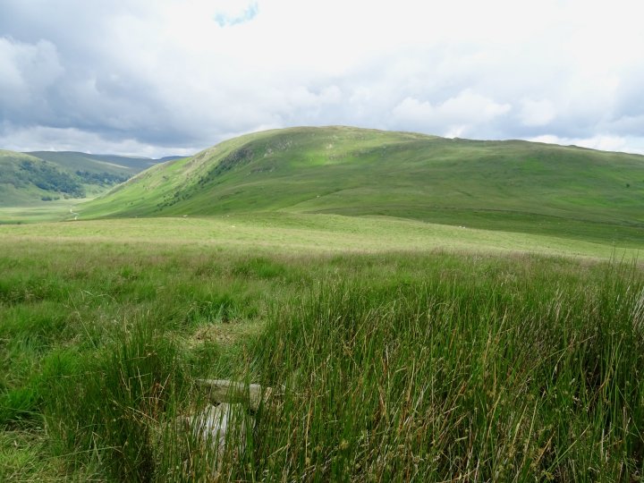 Lamb Pasture / The Forest / White Howe (Bannisdale) / Bannisdale Fell - Long Crag / Bannisdale Horseshoe - Ancrow Brow N / Swinklebank Crag / Capplebarrow / Todd Fell / Whiteside Pike