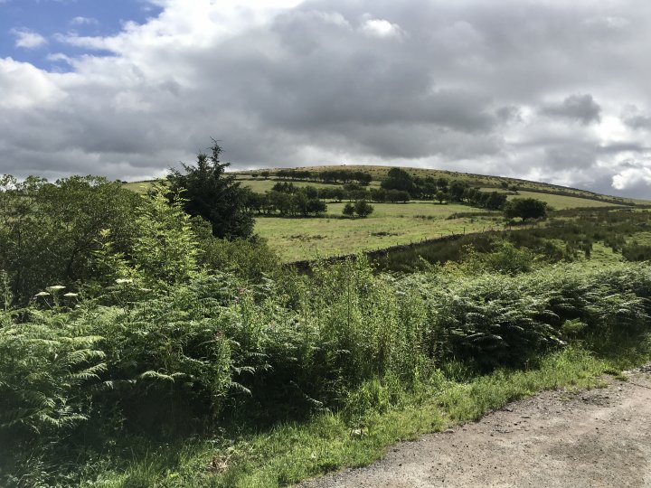 Flat Fell / Dent